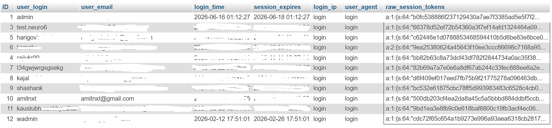 Sanitized screenshot of administrator/session-token review with identifying fields redacted